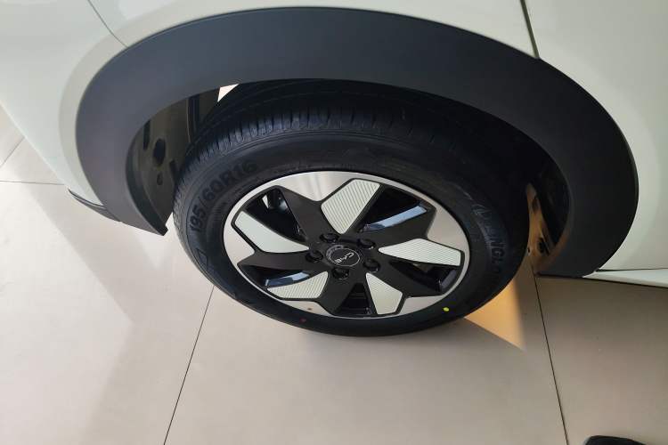 Used BYD Dolphin 2025 420km Free Edition