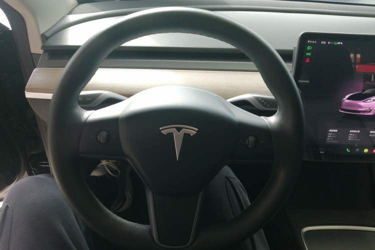 Used Tesla Model 3 2022 Rear-Wheel-Drive Version