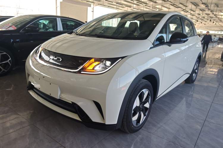 Used BYD Dolphin 2025 420km Free Edition