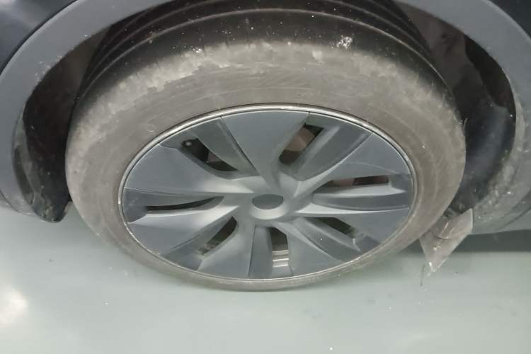 Used Tesla Model Y 2023 Rear-Wheel-Drive Version