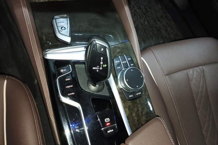 Used BMW 5 Series 2021 525Li Luxury Package