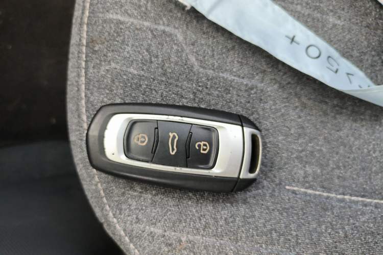 Used  Panda 2023 Panda Mini 200km Endurance Bear
