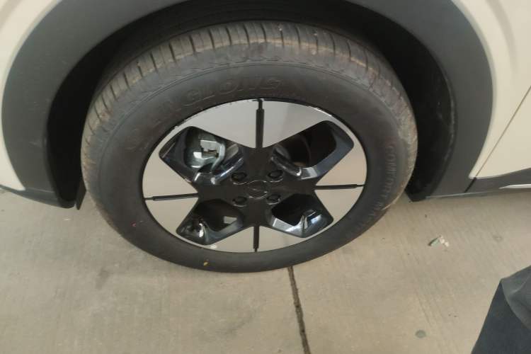 Used  Geome 2025 UP 410km Exploration Edition
