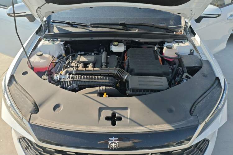 Used BYD Qin PLUS 2025 DM-i Smart Drive 55KM Leading Model
