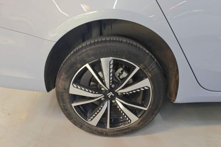 Used  ER6 2021 New Dynamic Edition 520km Smart Leading Version