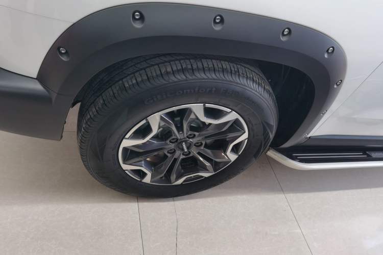 Used Haval DARGO 2024 2.0T DCT Chinese Rural Dog Edition