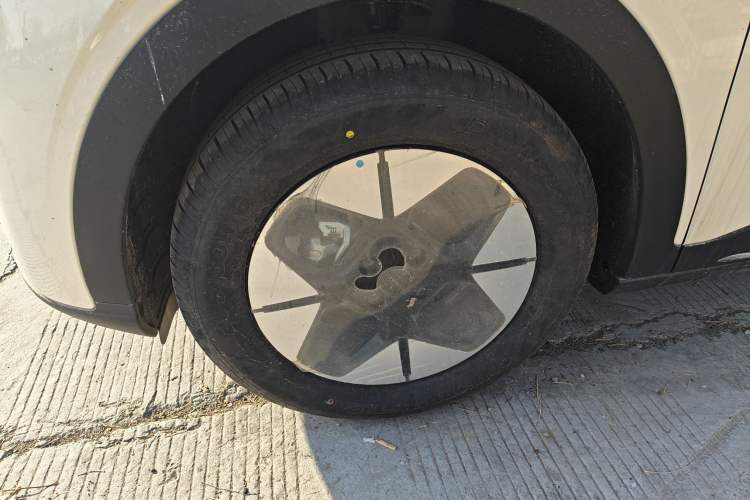 Used  Geome 2025 310km Dream Edition
