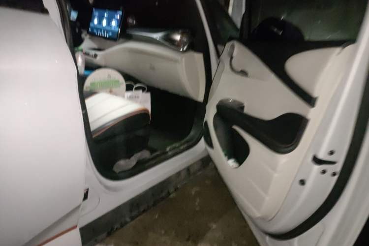 Used BYD Dolphin 2021 405 km Free Version
