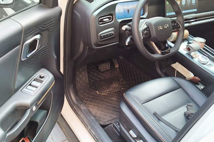 Used  BJ30 2024 1.5T Magic Electric Drive Advanced Version