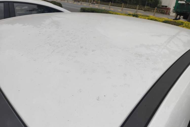 Used BYD Seal 05 DM-i 2025 DM-i Smart Drive 55KM Luxury Model
