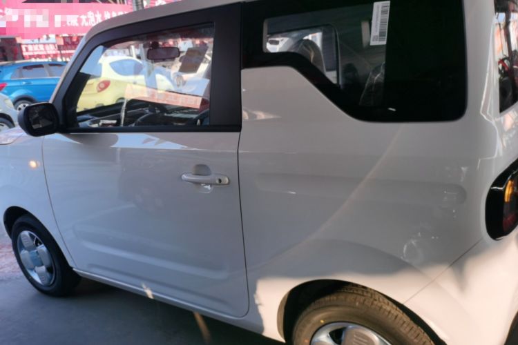 Used  Panda 2024 Panda Mini 200km Endurance Bear