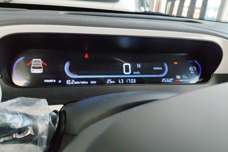 Used  Panda 2025 210 km – Yuanqi Bear
