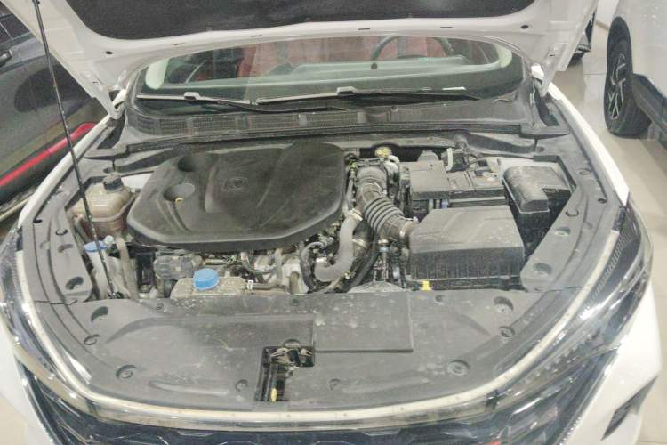 Used Changan Eado 2021 PLUS Blue Whale NE 1.4T GDI DCT Prestige Model
