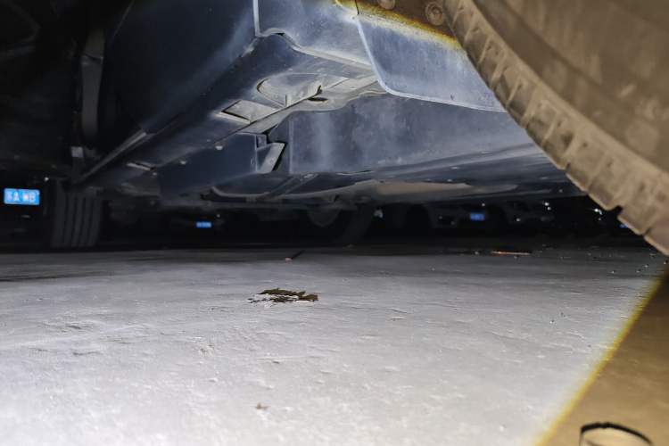 Used Buick Envision 2017 20T Two-Wheel Drive Elite Version
