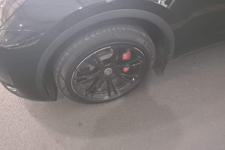 Used Tesla Model Y 2022 Rear-Wheel-Drive Version
