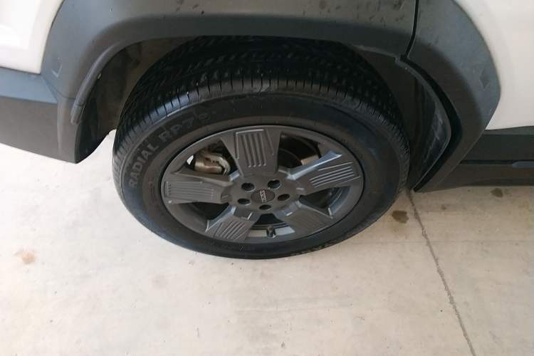 Used  03 2024 501km Two-Wheel Drive Long-Range Version