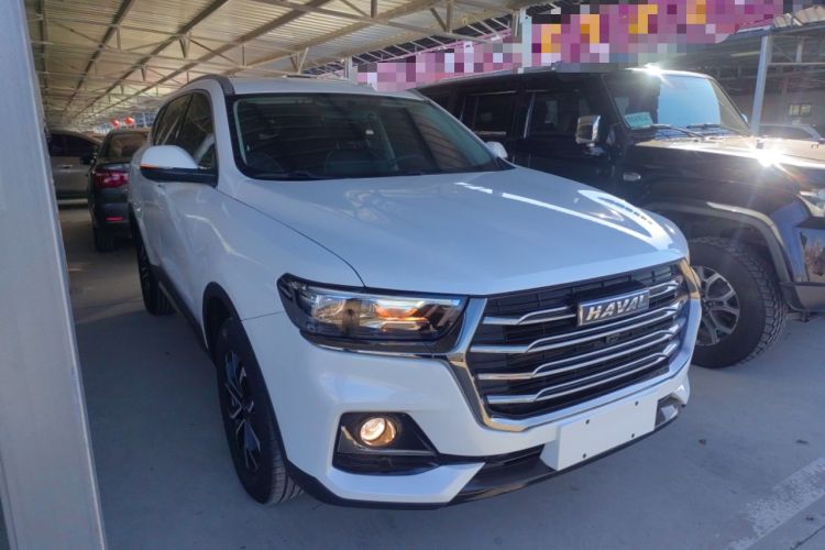 Used Haval H6 2021 National Trend Edition 1.5T Automatic Urban Version
