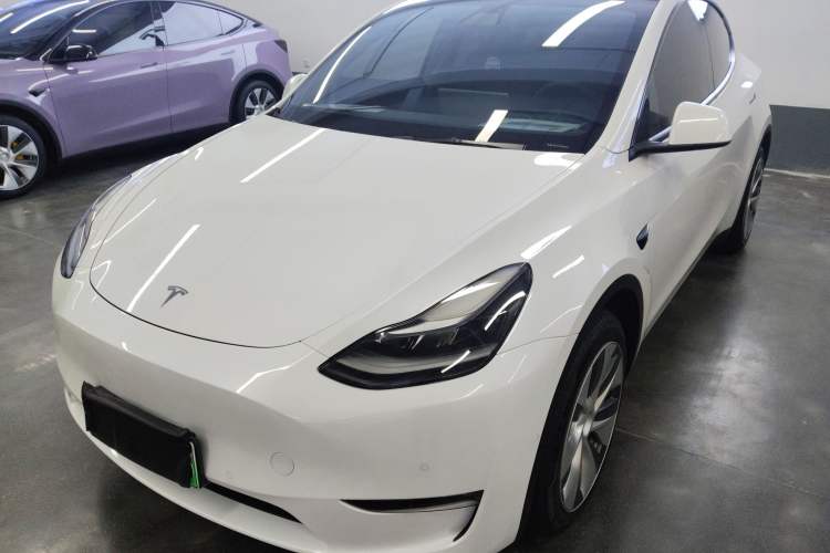 Used Tesla Model Y 2021 Standard Range Rear-Wheel Drive Version