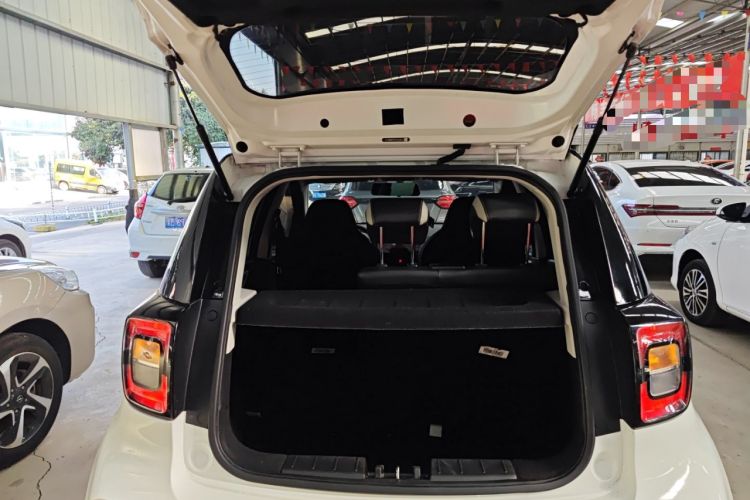 Used SOL E10X 2022 Flower Fairy Style Baby's Breath
