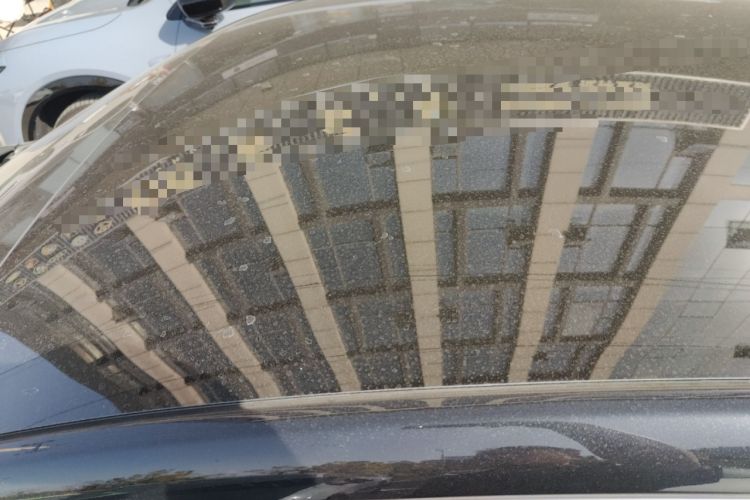 Used XPeng P7 2021 480N
