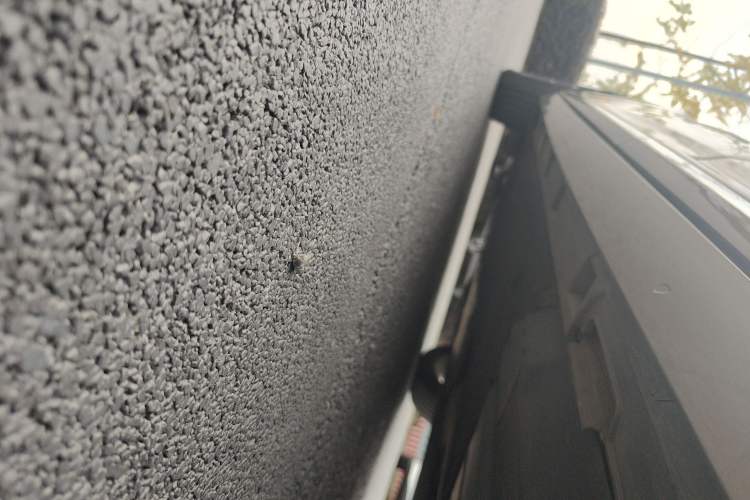 Used Volkswagen Magotan 2019 280TSI DSG Leading Model China VI Standard
