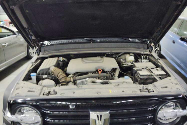 Used Tank 300 2023 Off-Road Edition 2.0T Conqueror
