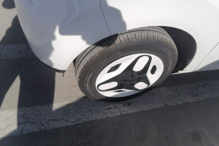 Used  Panda 2025 210 km – Yuanqi Bear
