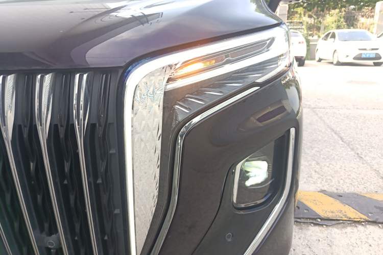 Used Hongqi HQ9 2023 2.0T Smart Connect Flagship Edition