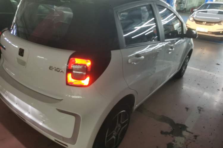 Used SOL E10X 2022 Flower Fairy Design Four-Leaf Clover
