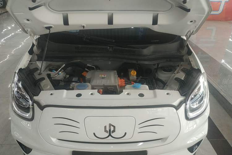 Used Leapmotor T03 2021 400 Micro-Sugar Version
