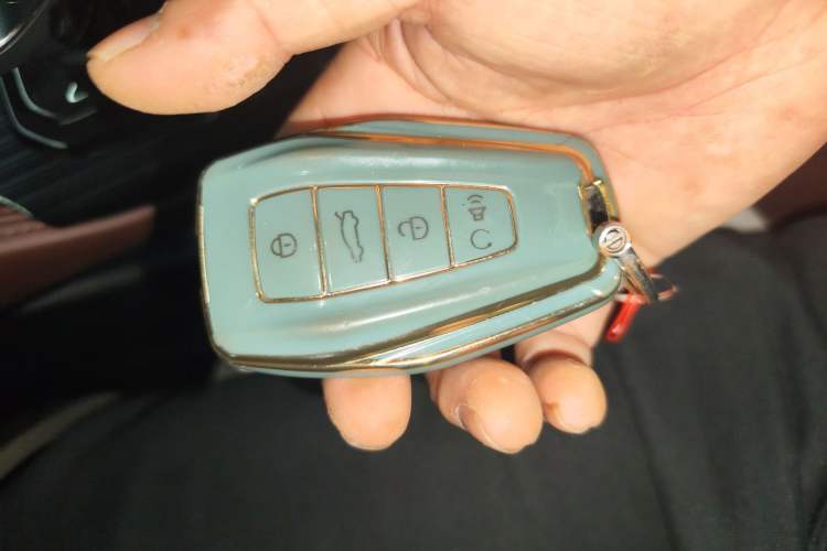 Used Geely Auto Monjaro L 2021 2.0TD DCT EVO Two-Wheel Drive Prestige Version
