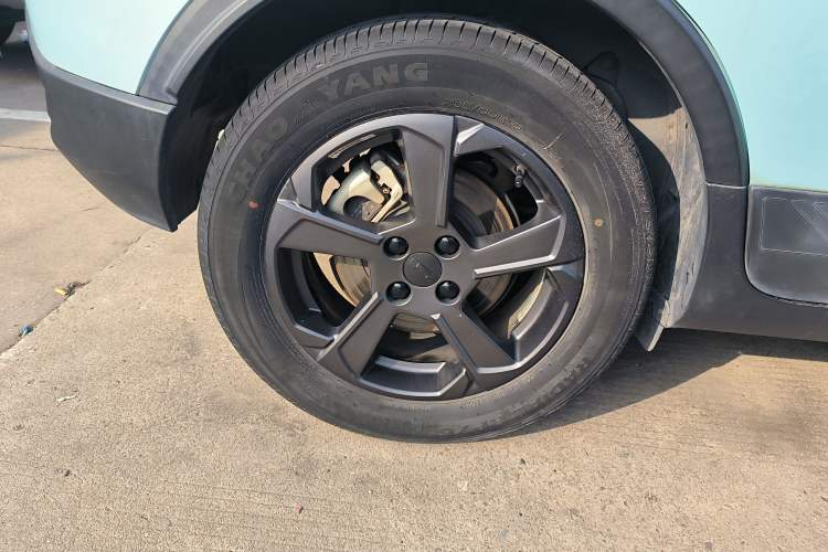 Used Geometry E Firefly 2022 401 km Linglong Tiger 4 Seats