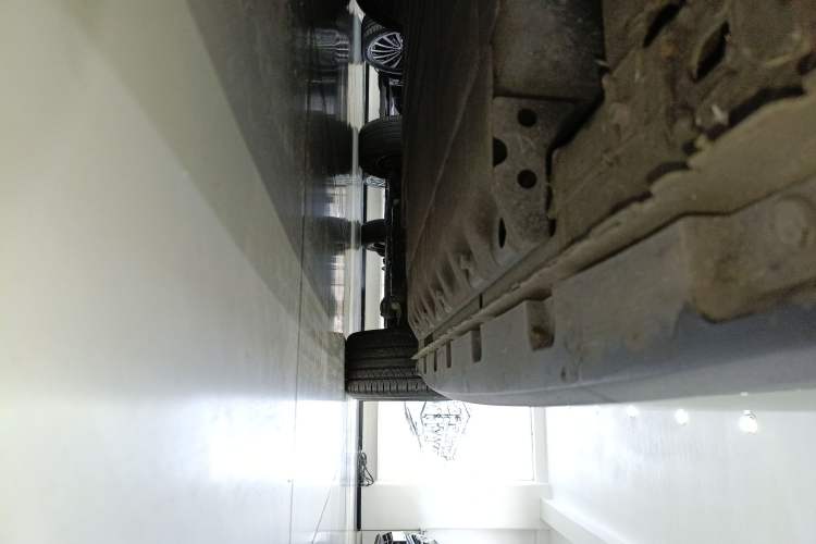 Used ORA Good Cat 2024 401 km Luxury Version 126 kW
