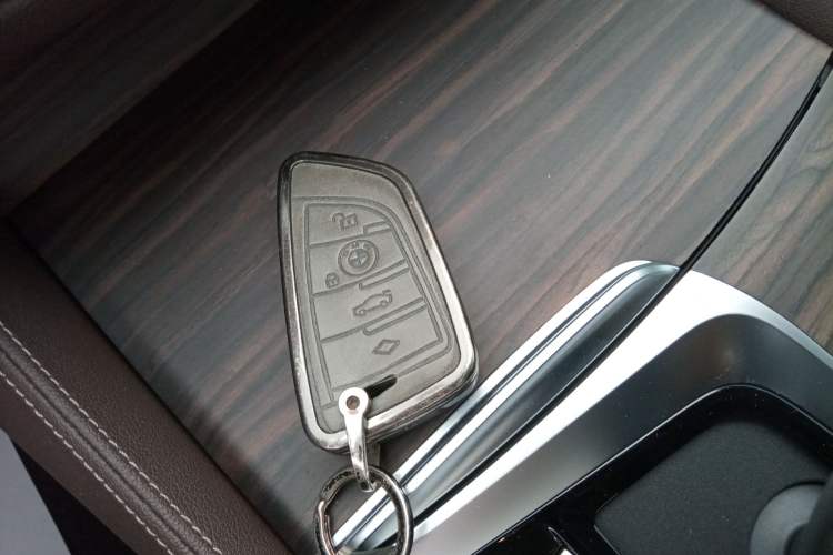 Used BMW 5 Series New Energy 2020 Mileage Upgrade Version 530Le Luxury Package
