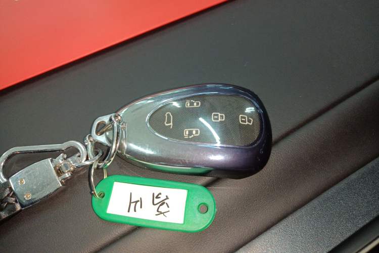 Used Wey Gaoshan 2025 Four-Wheel Drive Alpine 8
