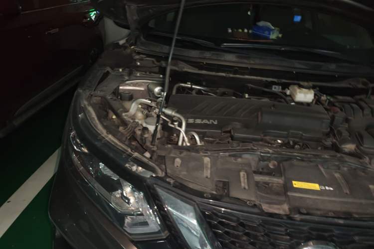 Used Nissan Qashqai 2019 2.0L CVT Smart Enjoyment Version
