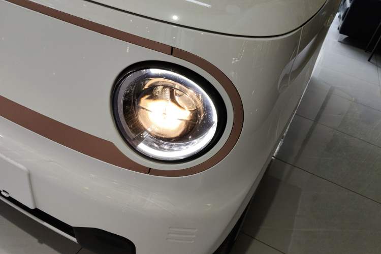 Used  Panda 2024 Panda Mini 200km Endurance Bear
