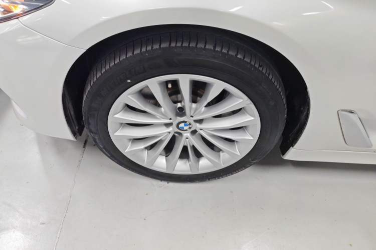 Used BMW 5 Series 2019 530Li Leading Model Luxury Package