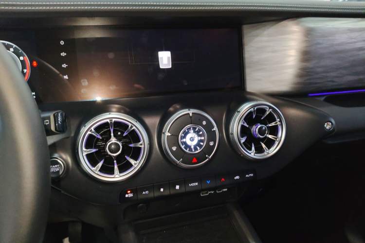 Used Tank 300 2024 2.0T Crosser
