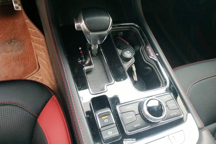 Used  BJ40 2019 PLUS 2.3T Automatic Four-Wheel Drive Premium Edition China VI
