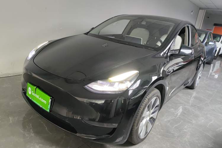 Used Tesla Model Y 2021 Standard Range Rear-Wheel Drive Version
