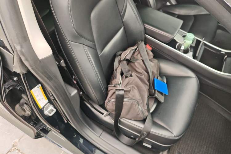 Used Tesla Model 3 2020 Standard Range Rear-Wheel Drive Upgraded Version