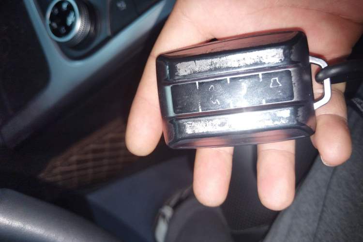 Used Tank 300 2024 2.0T Conqueror