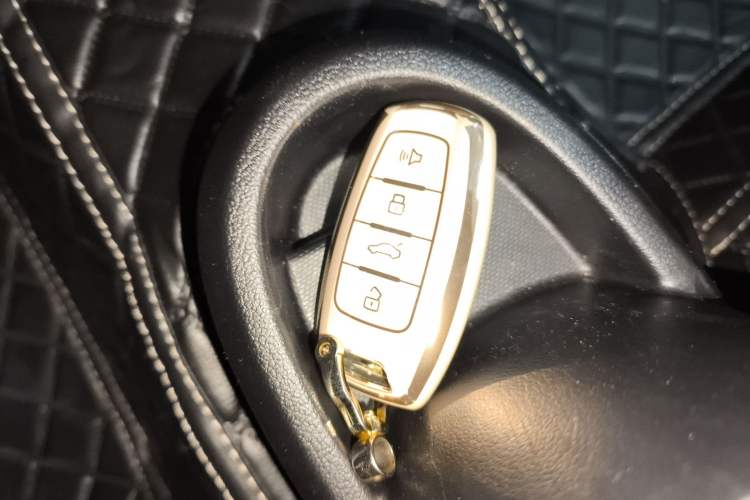 Used ORA Black Cat 2021 301 km Basic Version