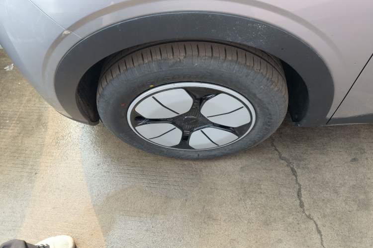 Used  Geome 2026 Model 310km Youth Edition
