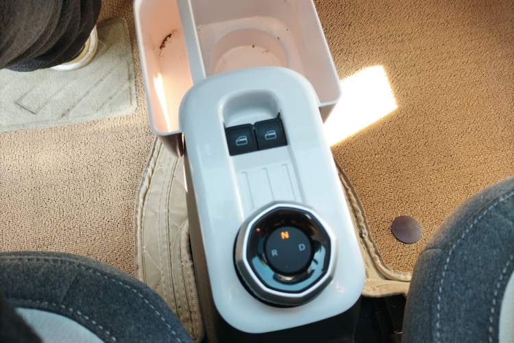 Used  Panda 2025 210 km – Yuanqi Bear
