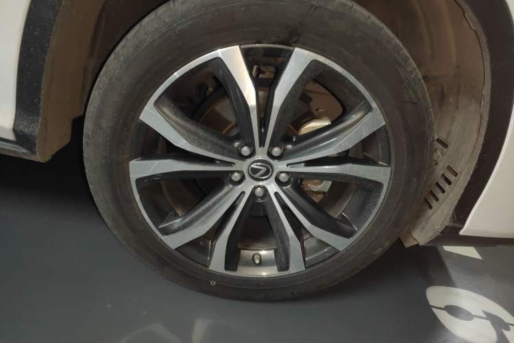 Used Lexus RX 2020 300 4x4 Elegant Edition China VI