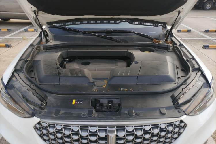 Used Wey VV6 2021 2.0T Two-Wheel Drive Smart Plus
