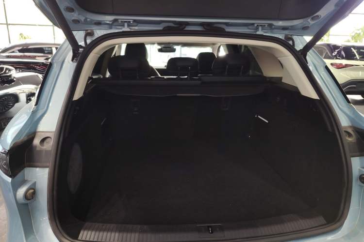 Used VOYAH FREE 2021 Four-Wheel Drive Standard Range-Extended Exclusive Luxury Package
