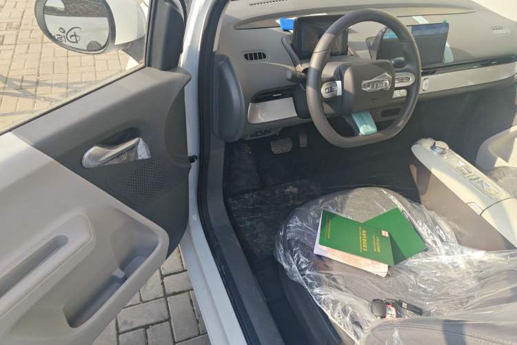 Used Qiyuan Lumin 2025 205 km Xiangqin Version
